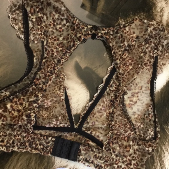 Sam Edelman Cheetah Animal  Print Bra - Picture 6 of 7